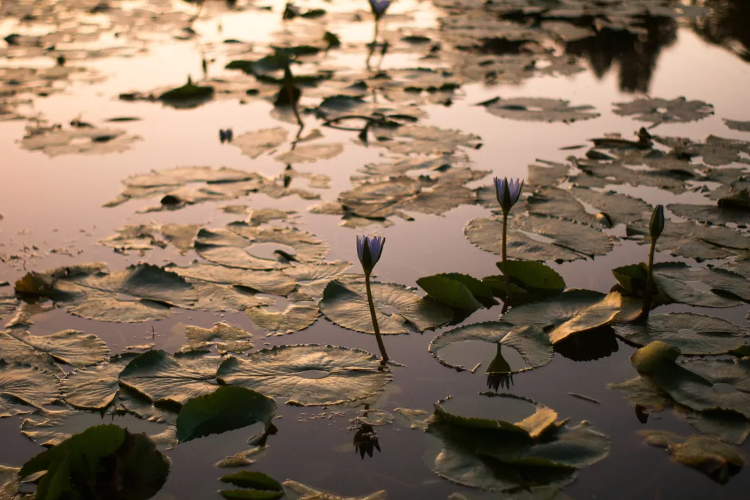 Nature / Landscape photograph by Dylan Luke