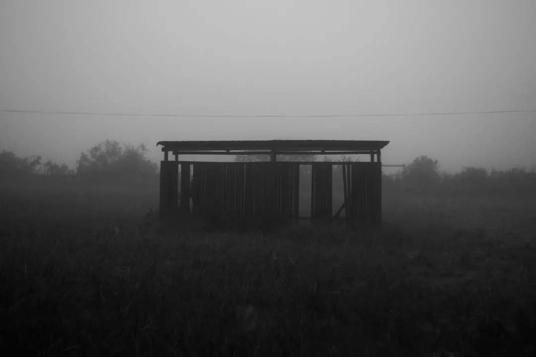 Foggy landscape by Dylan Luke